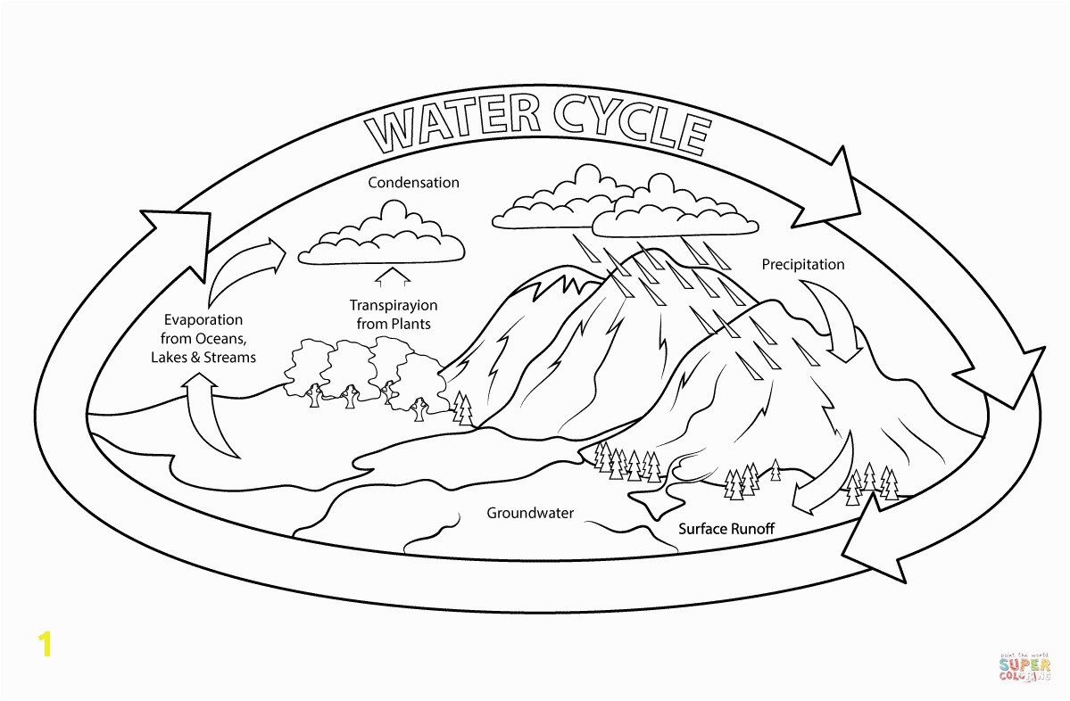 water cycle