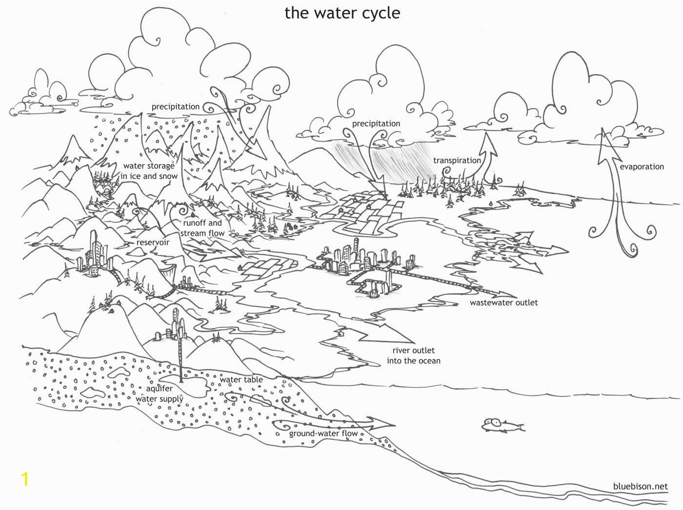 water cycle for kids coloring page