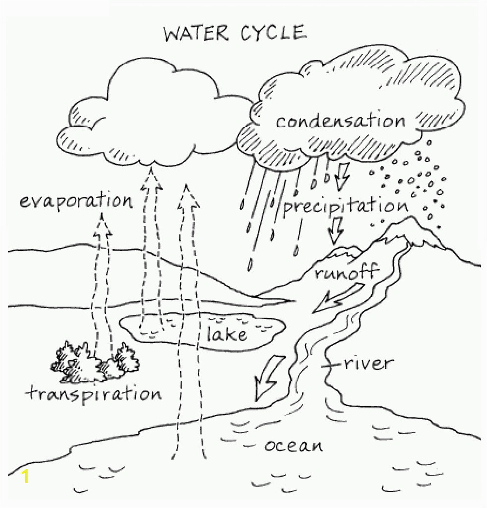 within water cycle