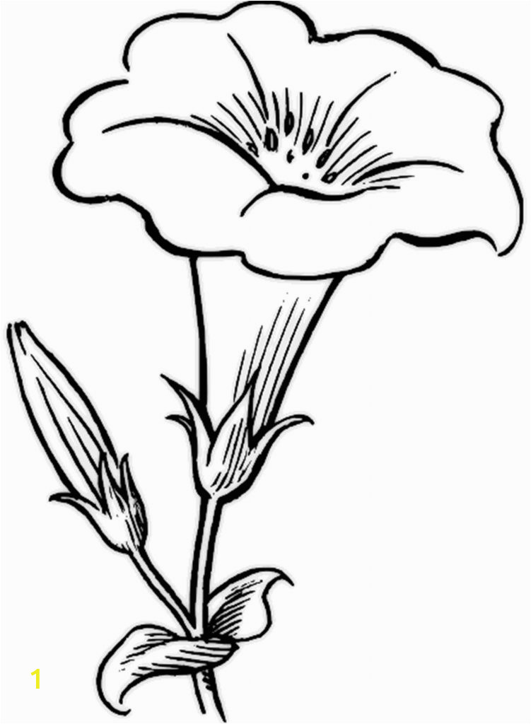 free printable flower coloring pages kids