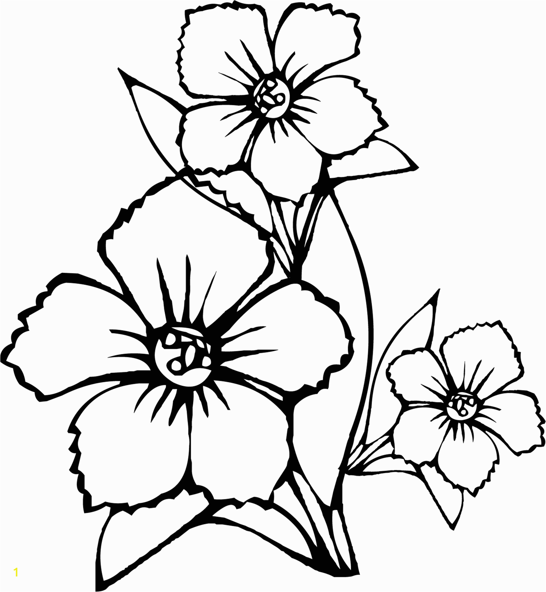 free printable flower coloring pages kids