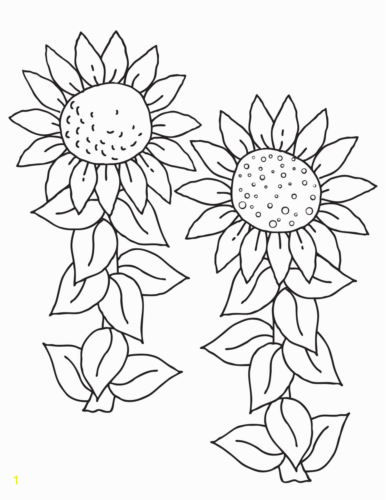 sunflower coloring pages