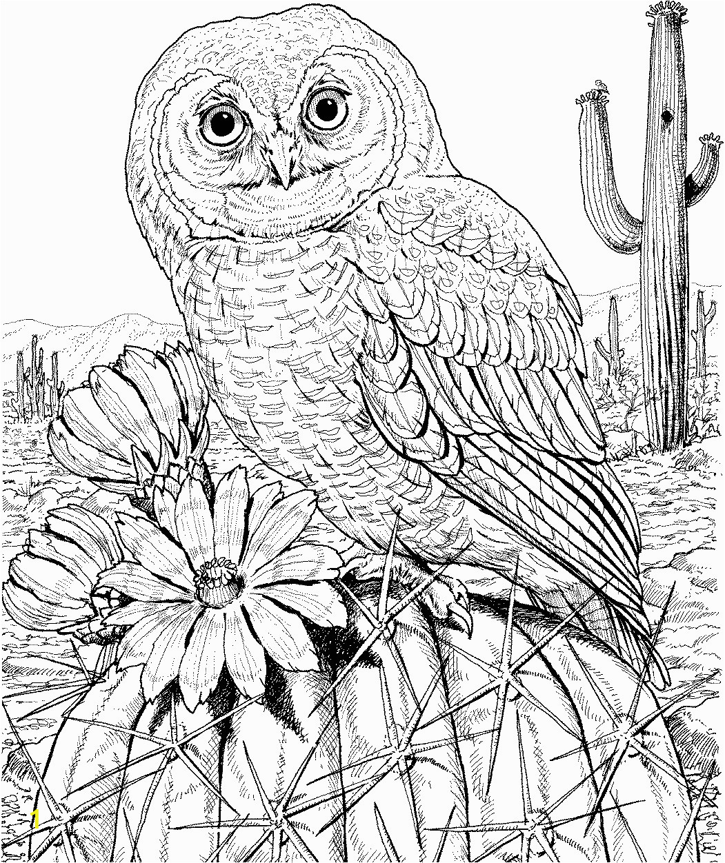 10 difficult owl coloring page for adults