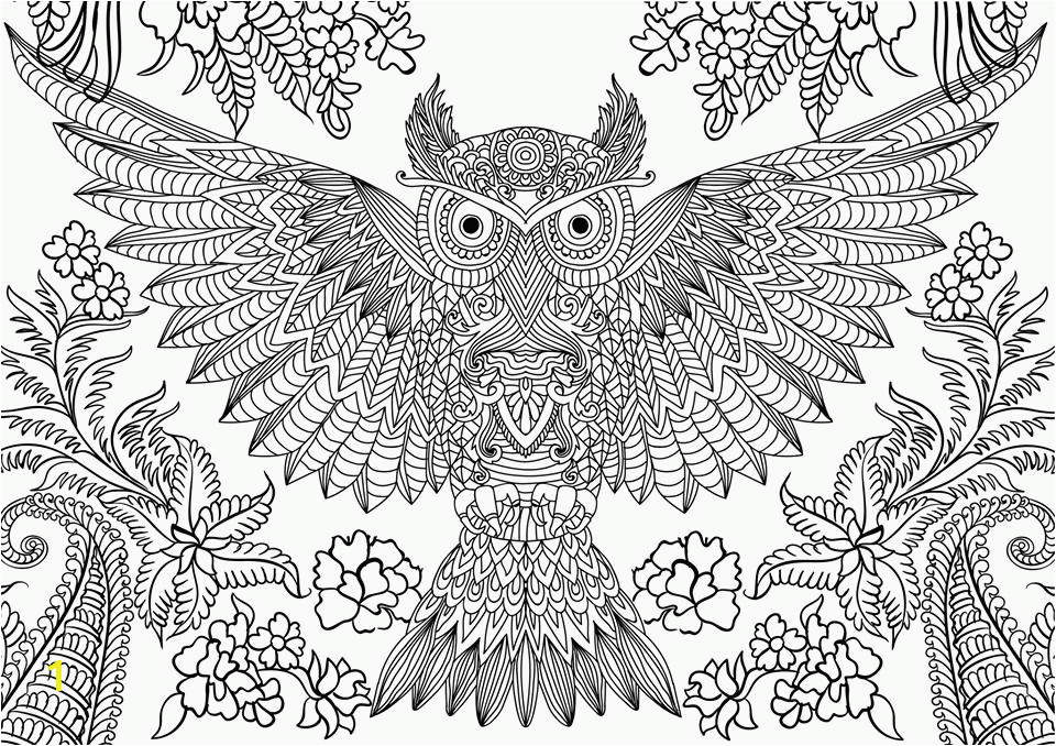free owl adult coloring pages to print