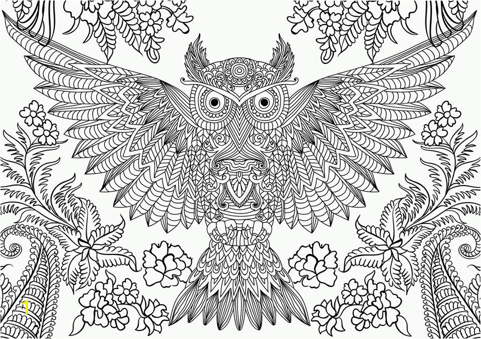 free owl adult coloring pages to print