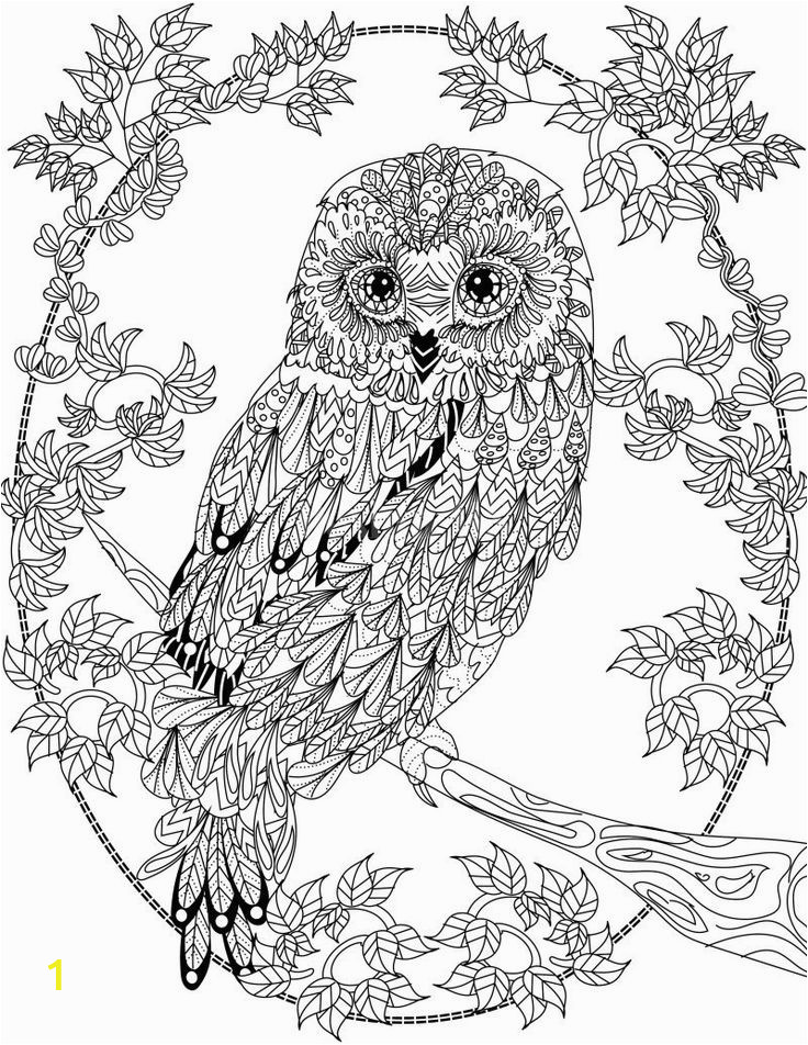 owl coloring pages adults