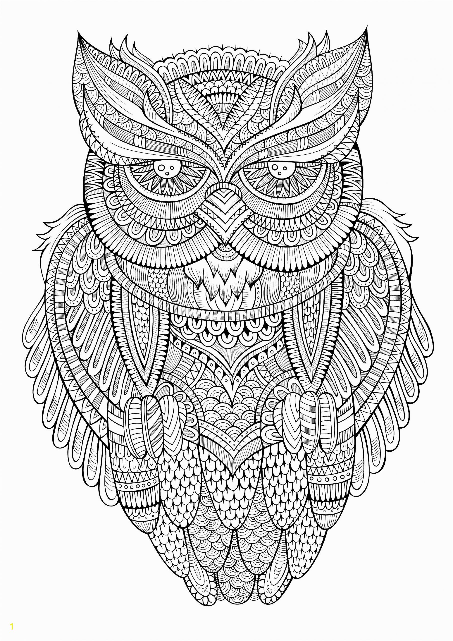 image=owls coloring page owl antistress 1