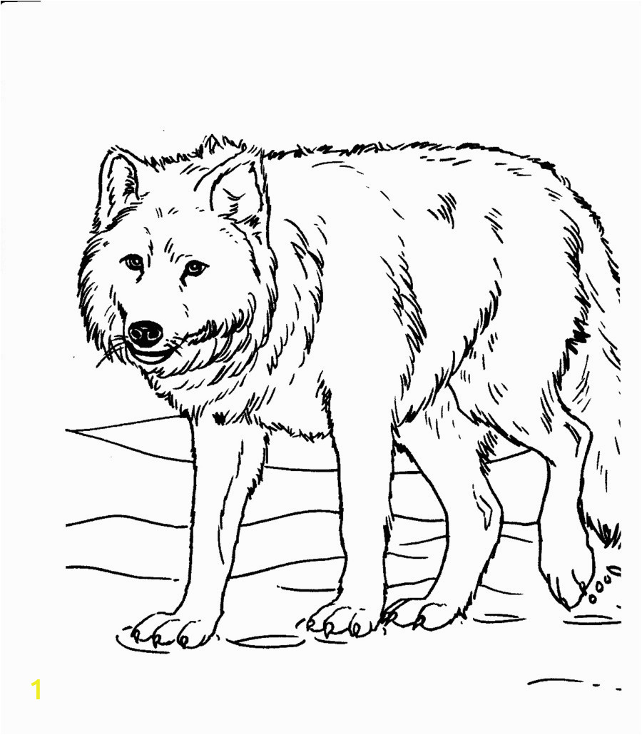 Realistic Animal Coloring Pages to Print Free Printable Realistic Animal Coloring Pages at