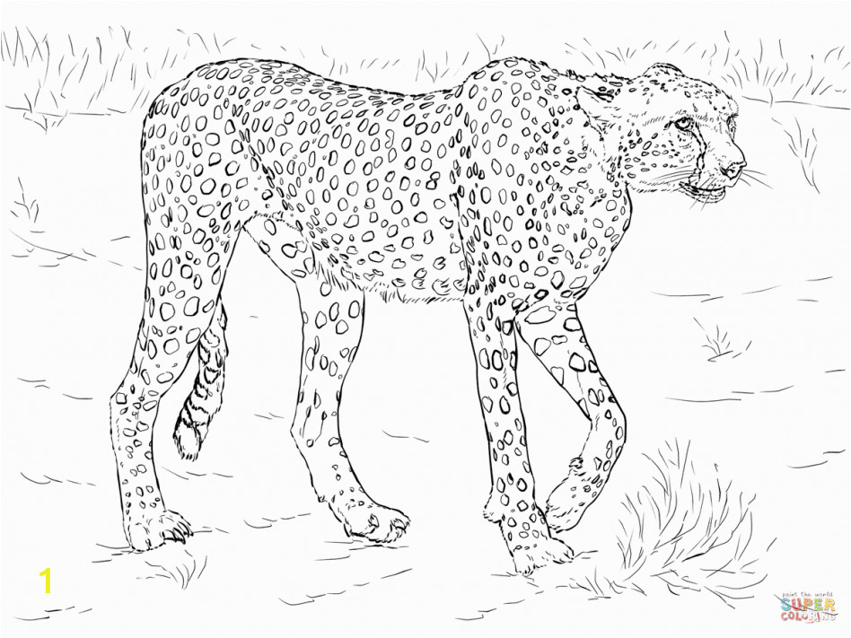 printable realistic animal coloring pages