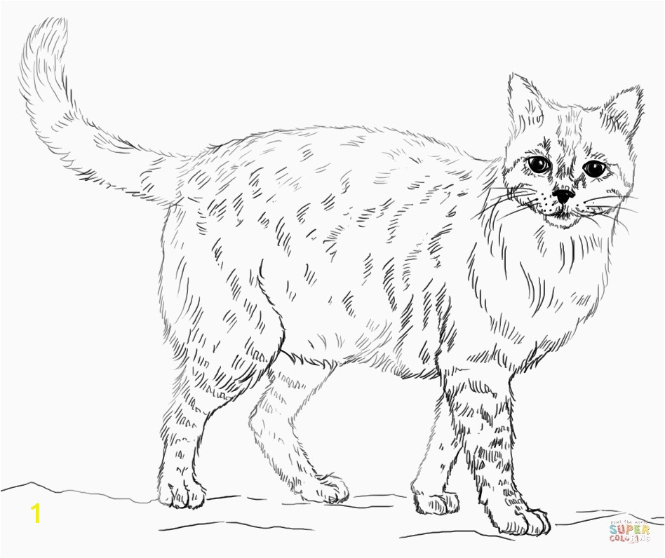 printable realistic animal coloring pages