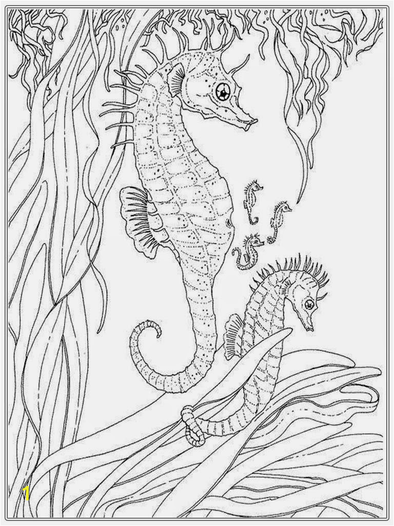 realistic seahorse coloring pages for