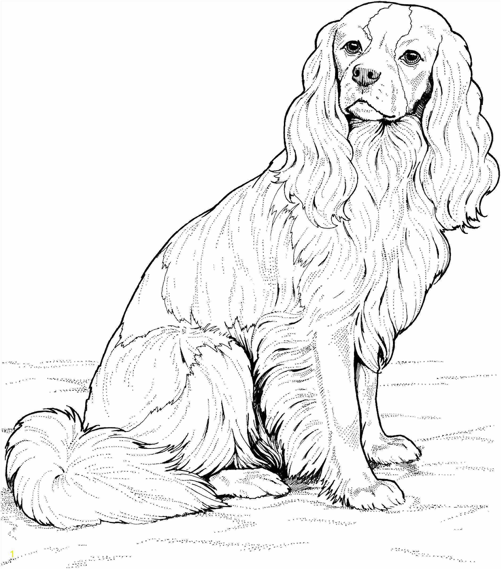 Realistic Golden Retriever Dog Coloring Pages Golden Retriever Puppies Coloring Pages Coloring Home