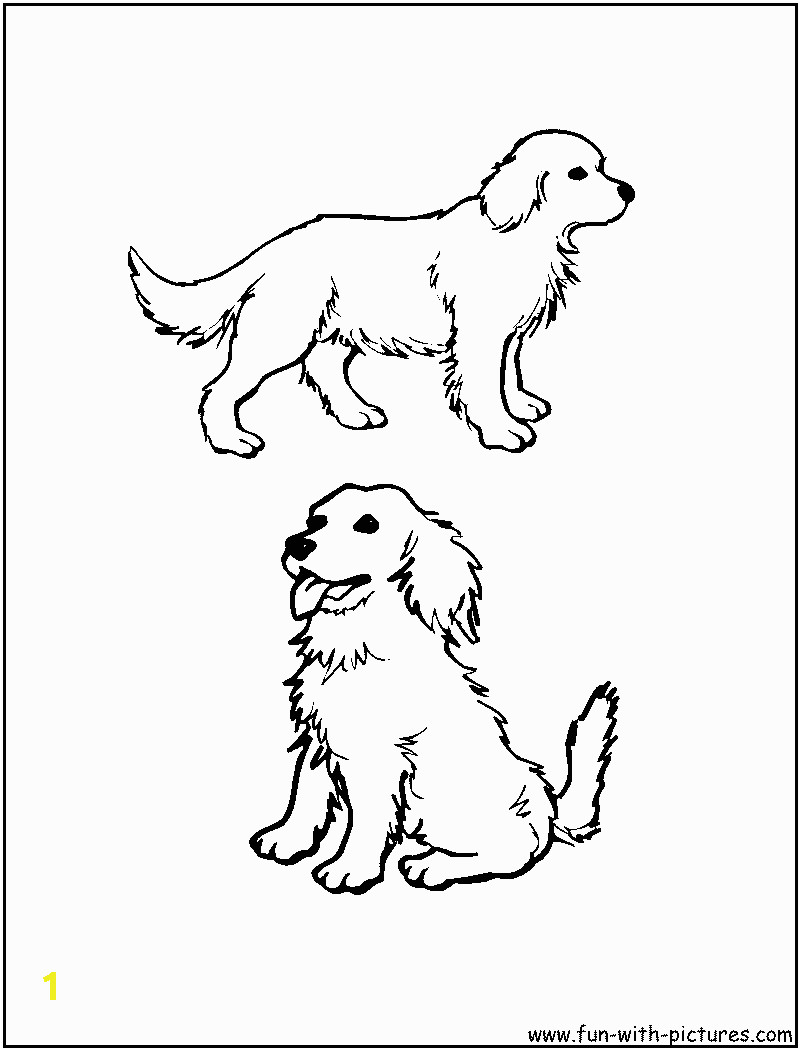 golden retriever puppies coloring pages