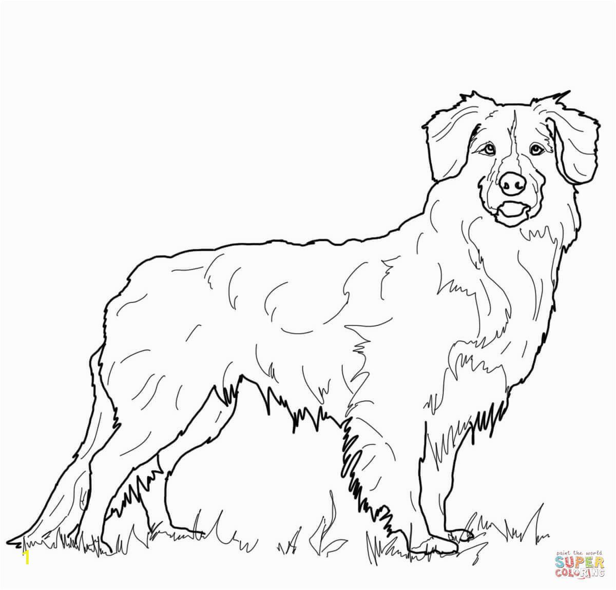 golden retriever puppy coloring pages printable