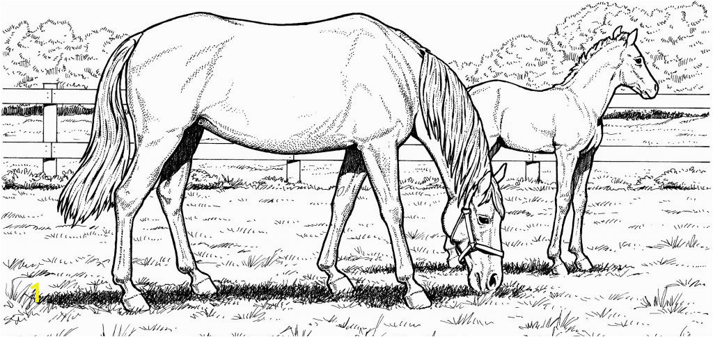 horse coloring pages for adults
