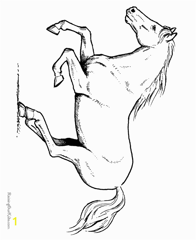 realistic horse coloring pages for adults sketch templates