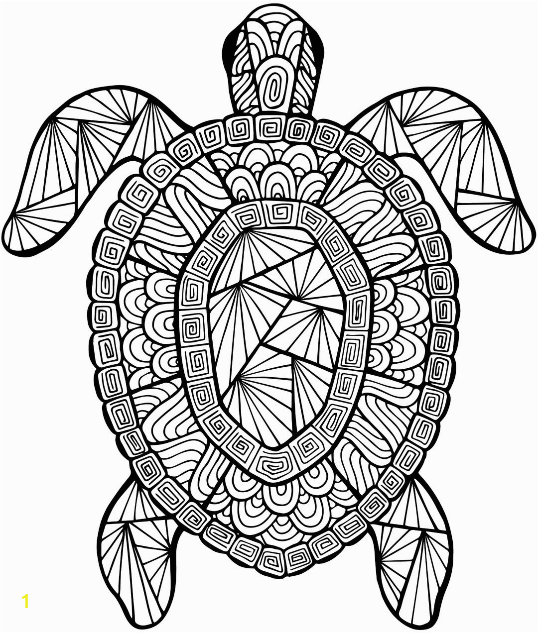 Sea Turtle Coloring Pages for Adults Detailed Sea Turtle Advanced Coloring Page