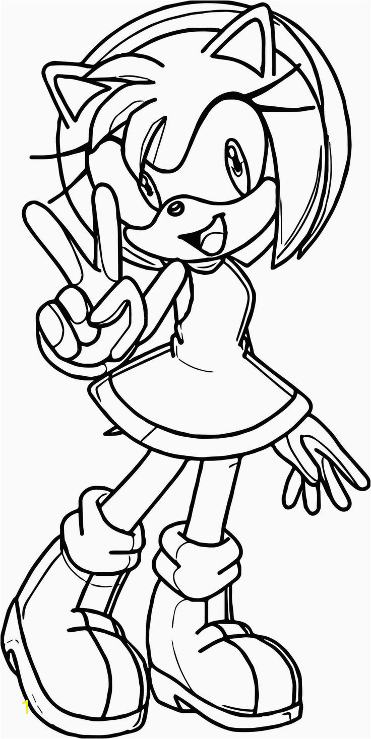 Sonic the Hedgehog and Friends Coloring Pages Google Image Result for