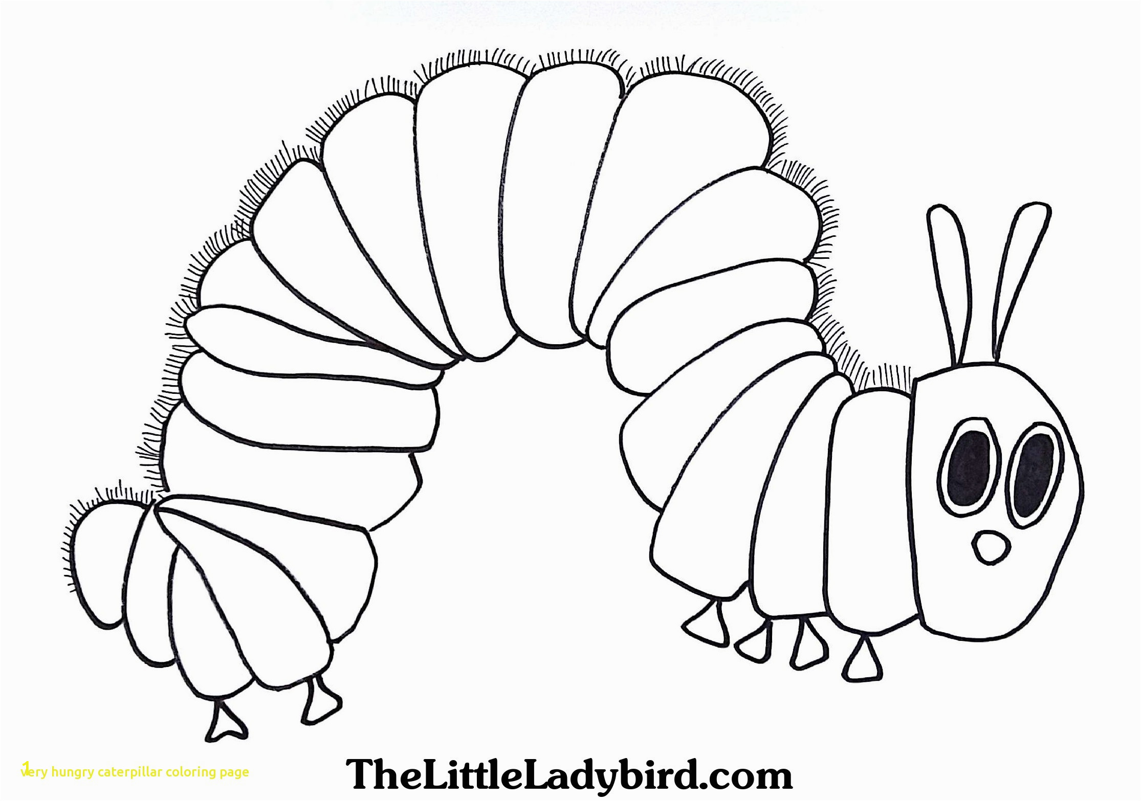 very hungry caterpillar coloring pages printables