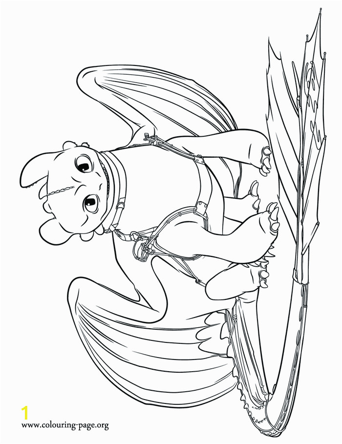 Toothless How to Train Your Dragon Coloring Pages How to Train Your Dragon 2 Older toothless Coloring Page