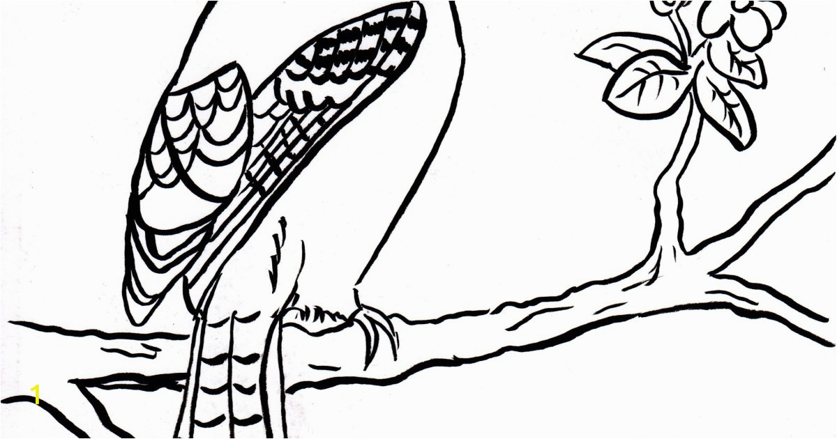 Toronto Blue Jays Coloring Pages Printable toronto Blue Jays Coloring Pages at Getcolorings