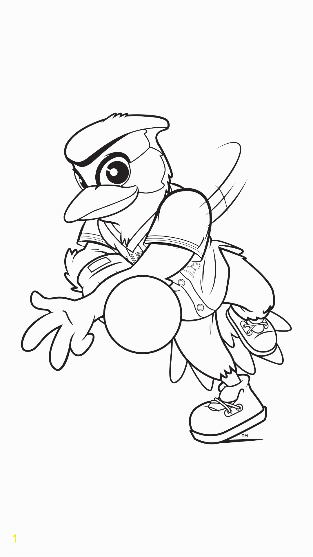 blue jays coloring pages