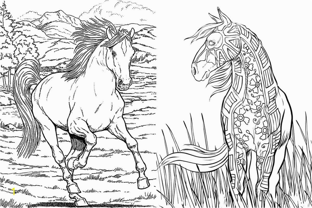 horse coloring pages