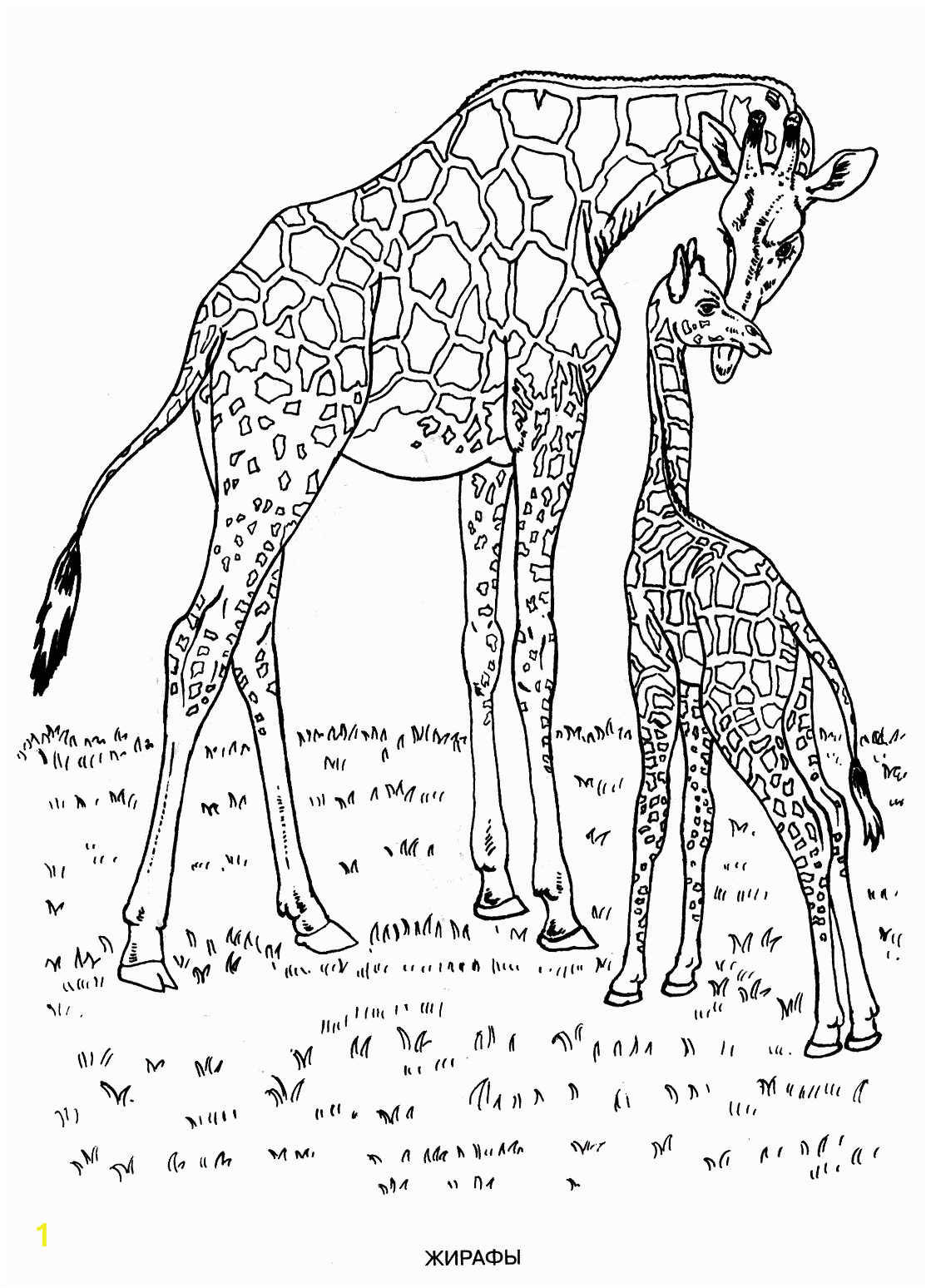 wild animals coloring pages