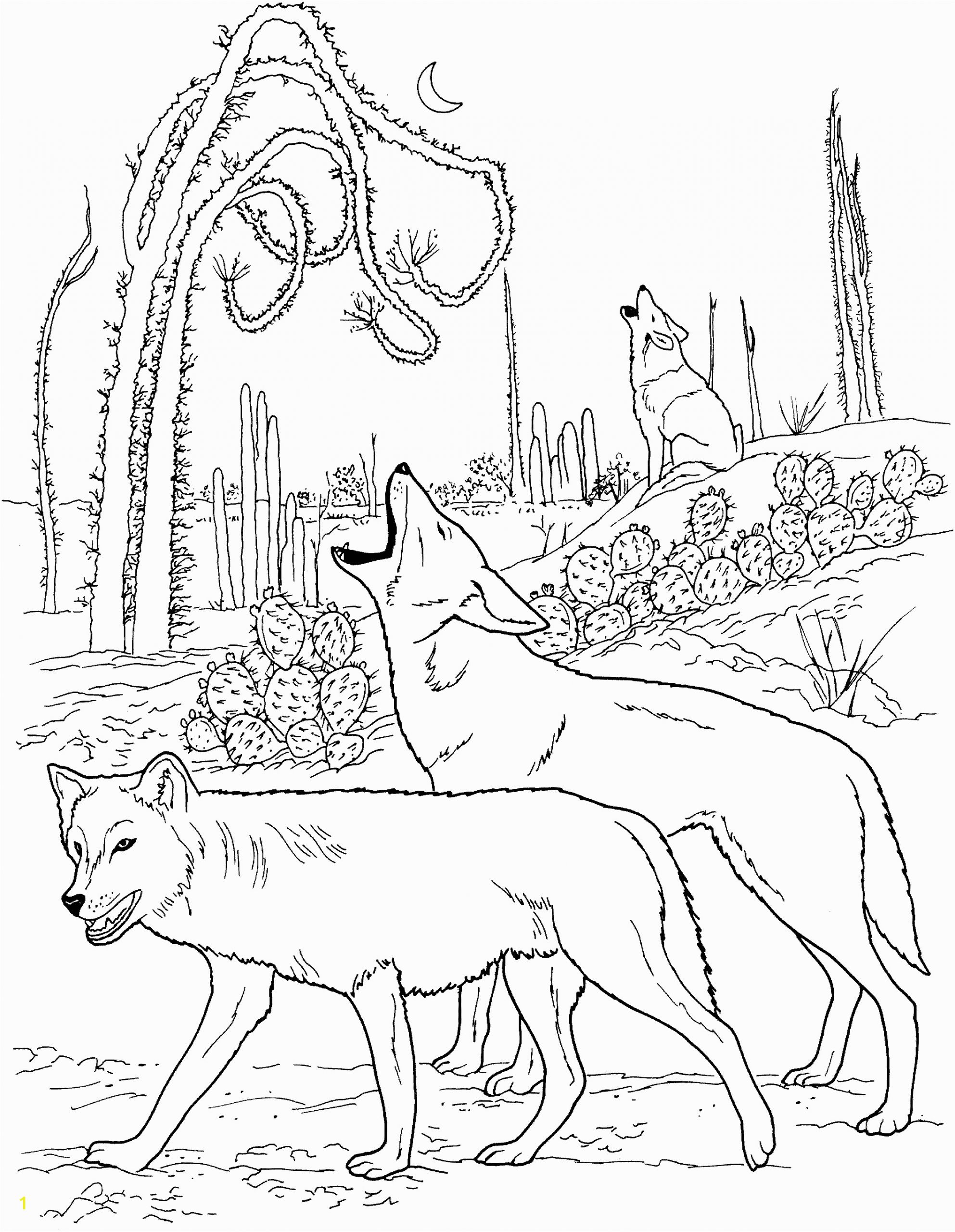 wolf coloring pages