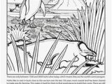 3d Coloring Pages Printable Quiver 76 Best Quivervision Images In 2020