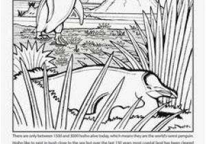 3d Coloring Pages Printable Quiver 76 Best Quivervision Images In 2020