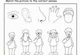 5 Senses Coloring Pages Five Senses Coloring Pages Beautiful Five Senses Coloring Pages Free