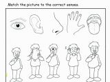 5 Senses Coloring Pages Five Senses Coloring Pages Beautiful Five Senses Coloring Pages Free