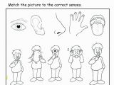 5 Senses Coloring Pages Five Senses Coloring Pages Beautiful Five Senses Coloring Pages Free