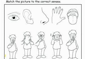 5 Senses Coloring Pages Five Senses Coloring Pages Beautiful Five Senses Coloring Pages Free