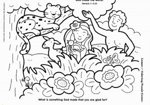 7 Days Of Creation Coloring Pages 7 Days Creation Coloring Pages Coloring Home