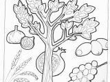 7 Species Of israel Coloring Page 105 Best Images About Tu B Shevat On Pinterest