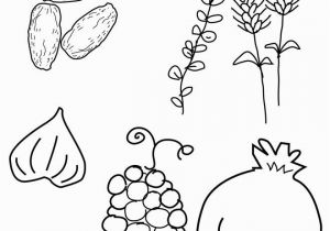 7 Species Of israel Coloring Page 31 Best Tu B Shvat Images On Pinterest