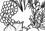 7 Species Of israel Coloring Page A Great Seven Species Coloring Sheet