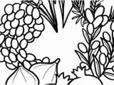 7 Species Of israel Coloring Page A Great Seven Species Coloring Sheet