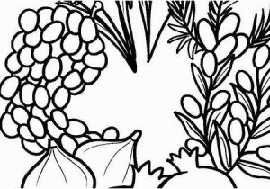 7 Species Of israel Coloring Page A Great Seven Species Coloring Sheet