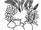 7 Species Of israel Coloring Page A Great Seven Species Coloring Sheet