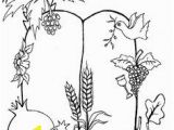 7 Species Of israel Coloring Page A Great Seven Species Coloring Sheet