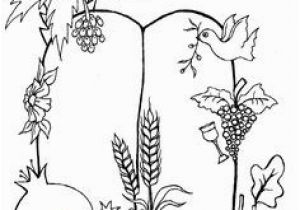 7 Species Of israel Coloring Page A Great Seven Species Coloring Sheet