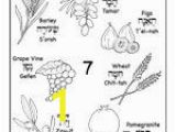 7 Species Of israel Coloring Page A Great Seven Species Coloring Sheet