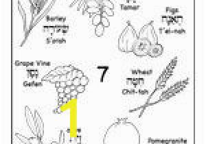 7 Species Of israel Coloring Page A Great Seven Species Coloring Sheet