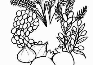 7 Species Of israel Coloring Page A Great Seven Species Coloring Sheet