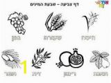 7 Species Of israel Coloring Page the 7 Species Date Fig Olive Pomegranate Grape