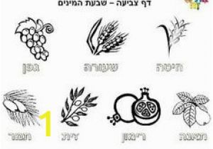 7 Species Of israel Coloring Page the 7 Species Date Fig Olive Pomegranate Grape