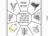 7 Species Of israel Coloring Page the 7 Species Date Fig Olive Pomegranate Grape